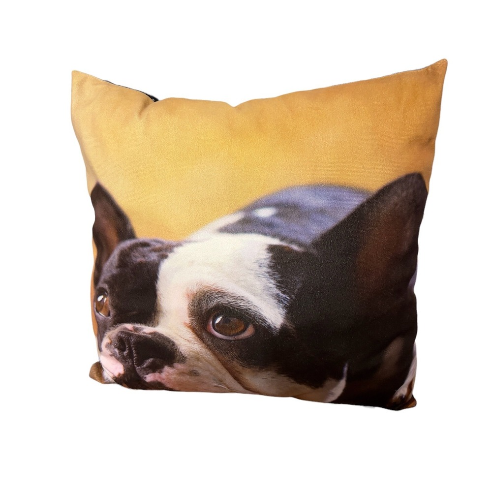 French Bulldog 16x16x6 inches Photo Throw Bed Couch Pillow Dog Big Eyes Decor